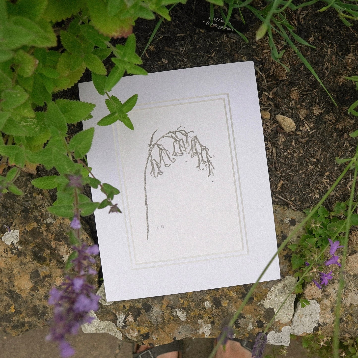 Bluebell I Original Artwork