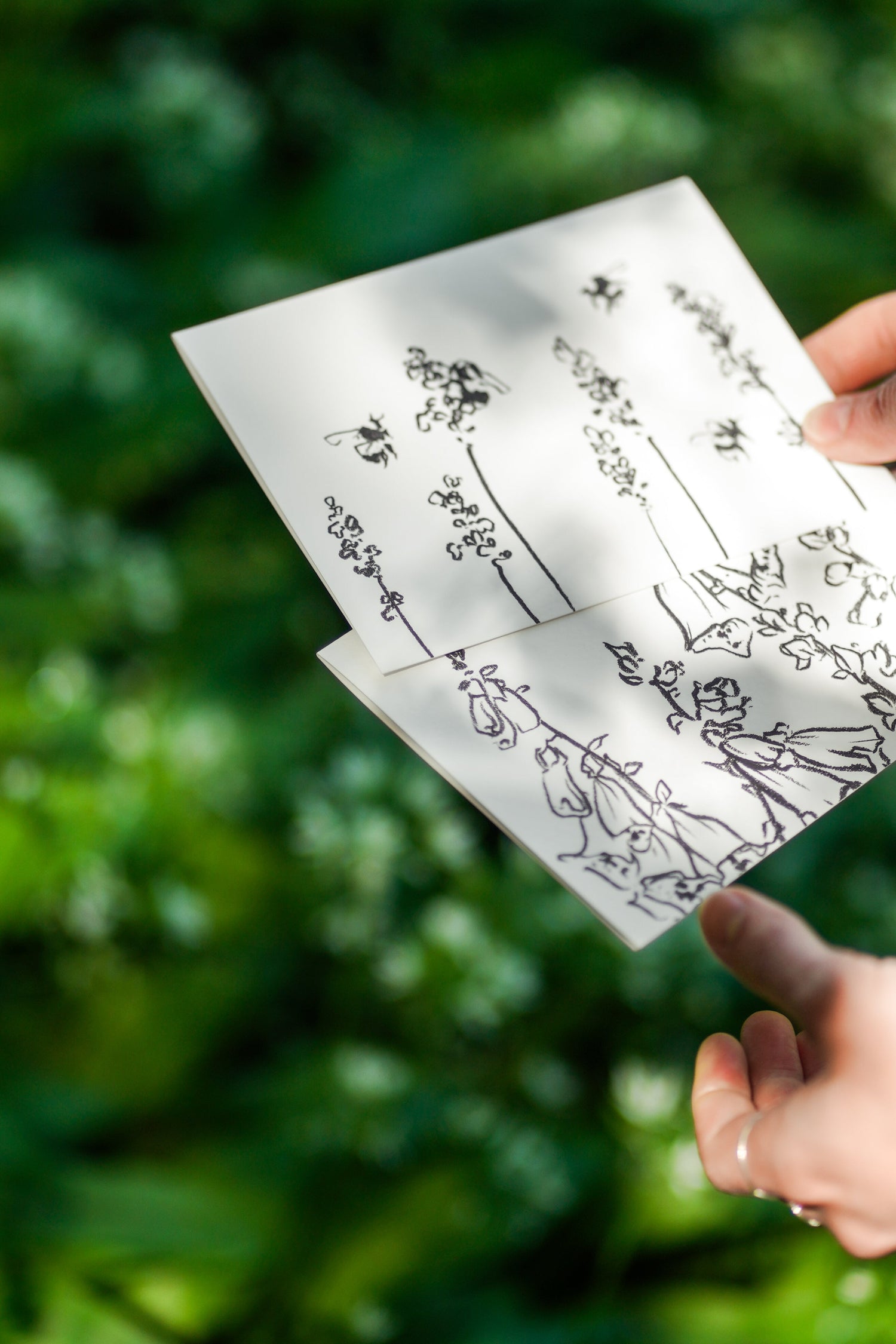 Greetings Cards