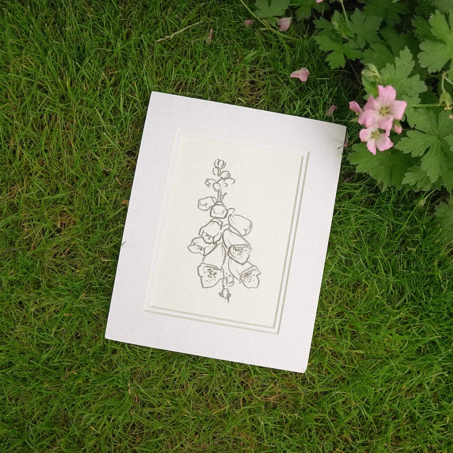 Foxglove I