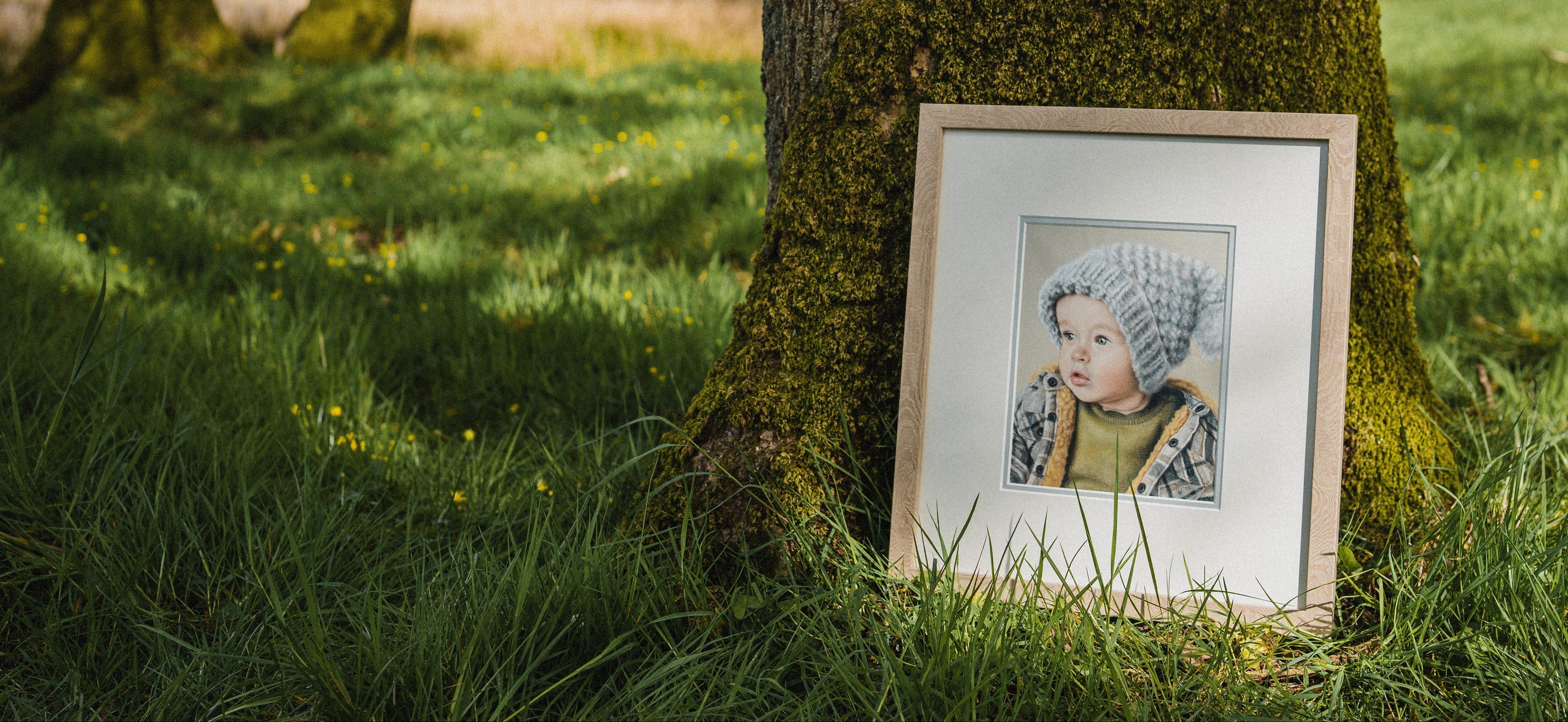 A framed portrait print leaning against a moss-covered tree in a grassy outdoor park setting.